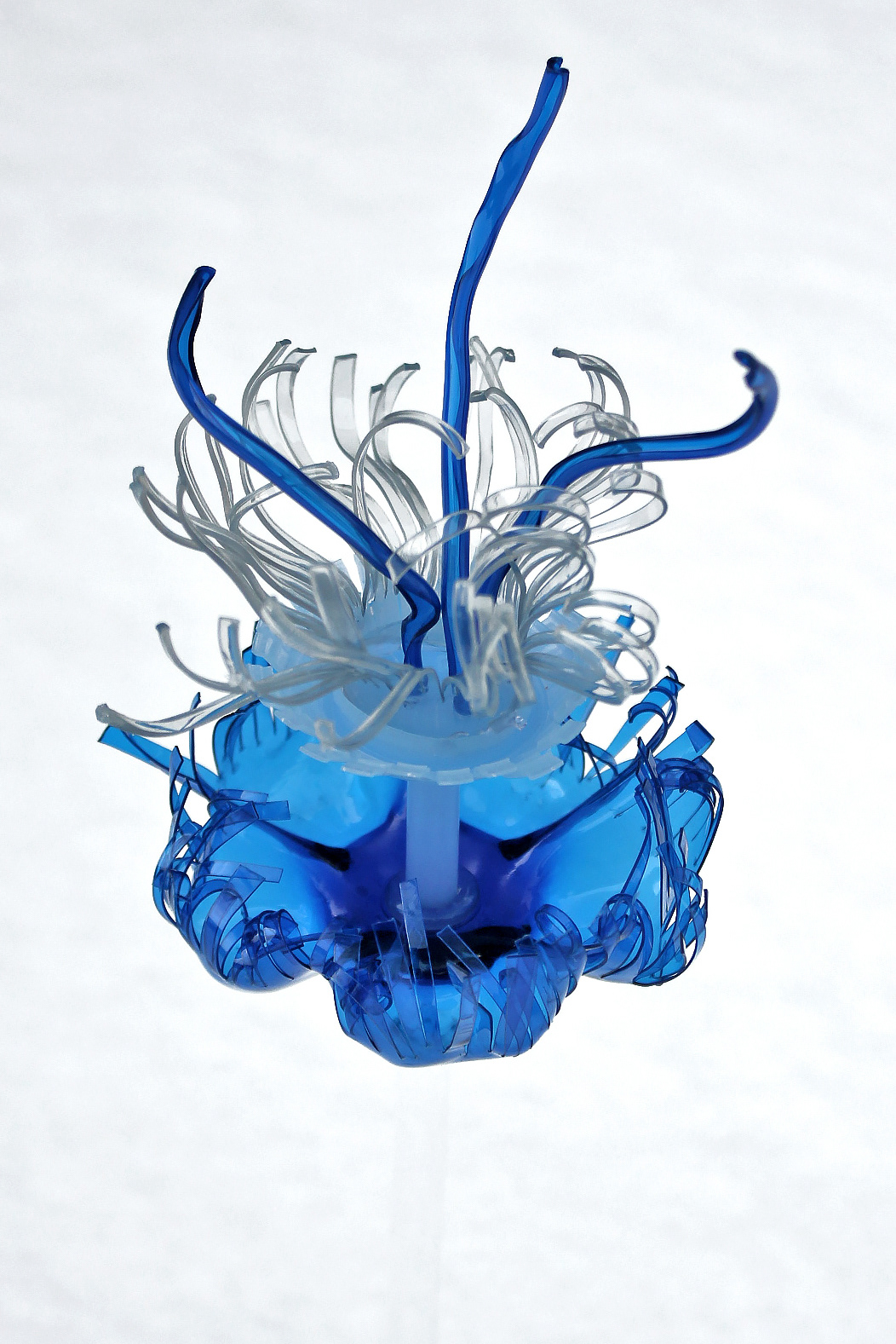 Baby Blue Medusa, 2022