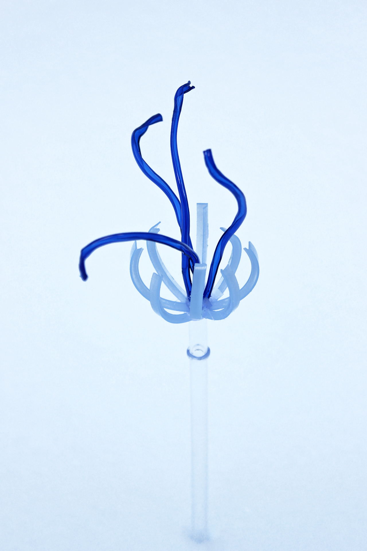 Deep Diving Jellyfish, 2022