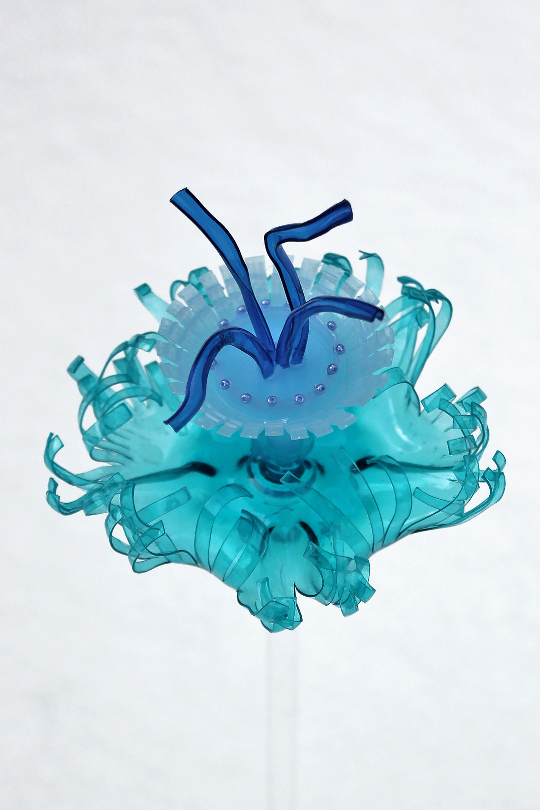 Jellysh Kissed, 2022