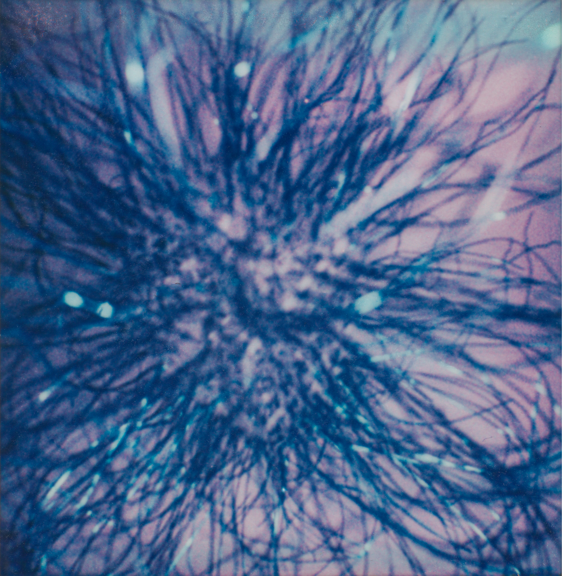 part of something bigger, four-layer screenprint, 20x20,5 in, edition of 3, 2024