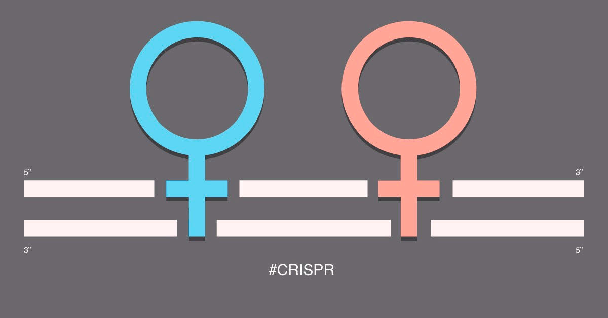 Dr. Andrea Ghez became the fourth woman to win a Physics Nobel, while Dr. Jennifer Doudna and Dr. Emmanuelle Charpentier became the first all women team to share the Chemistry Nobel.