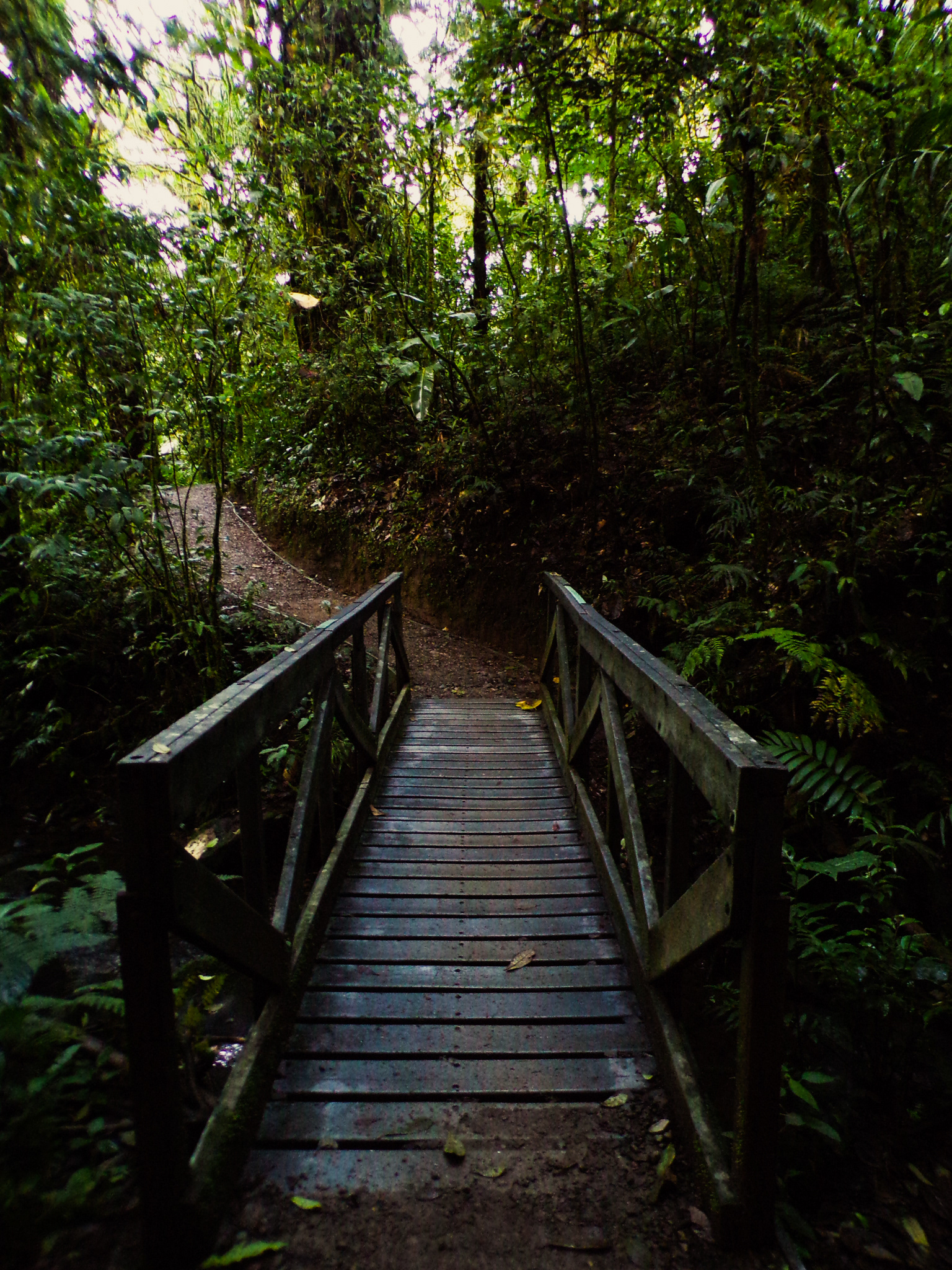 Puente, Monteverde, Costa Rica, 2022