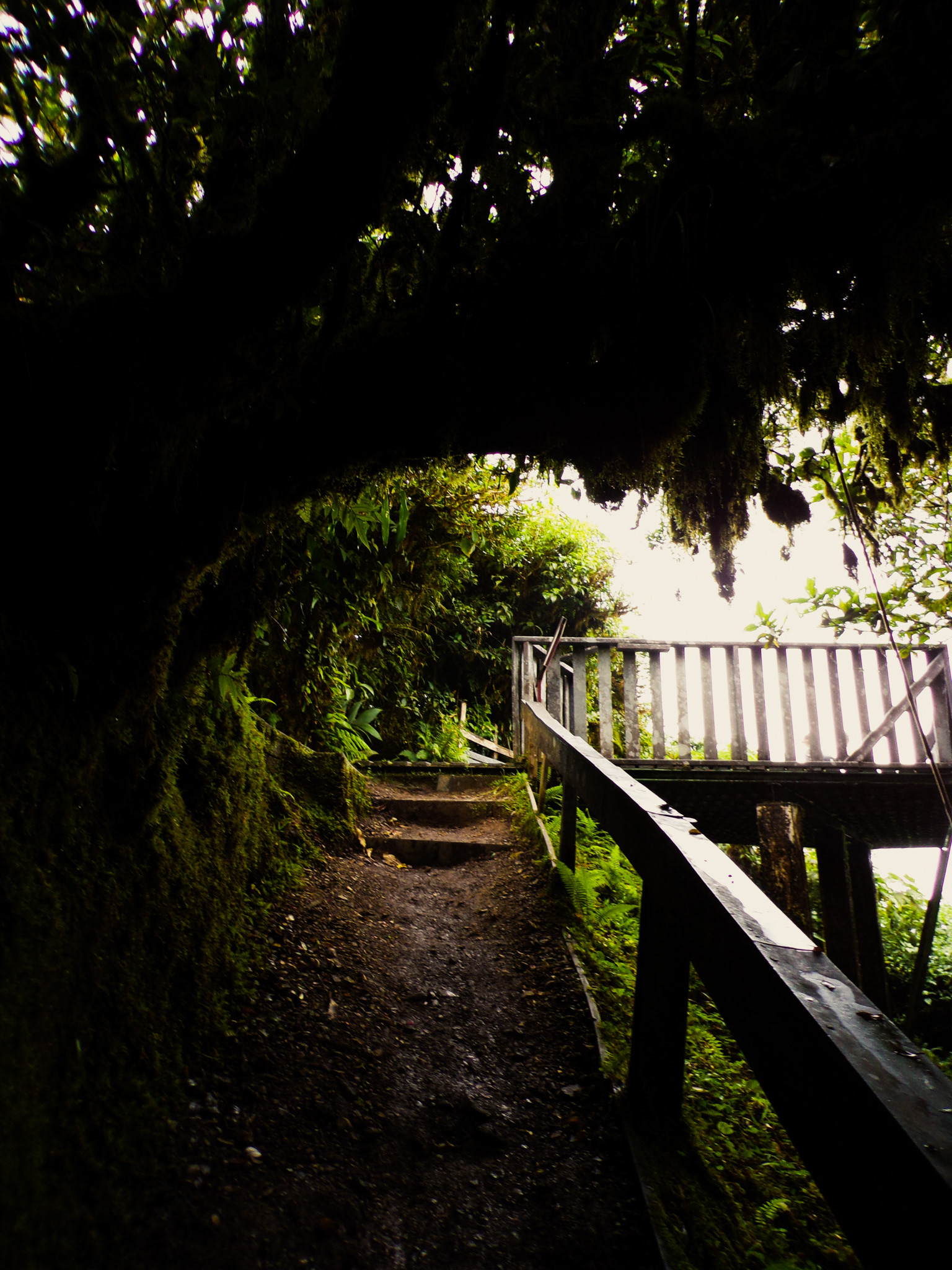 Asedio, Monteverde, Costa Rica, 2022