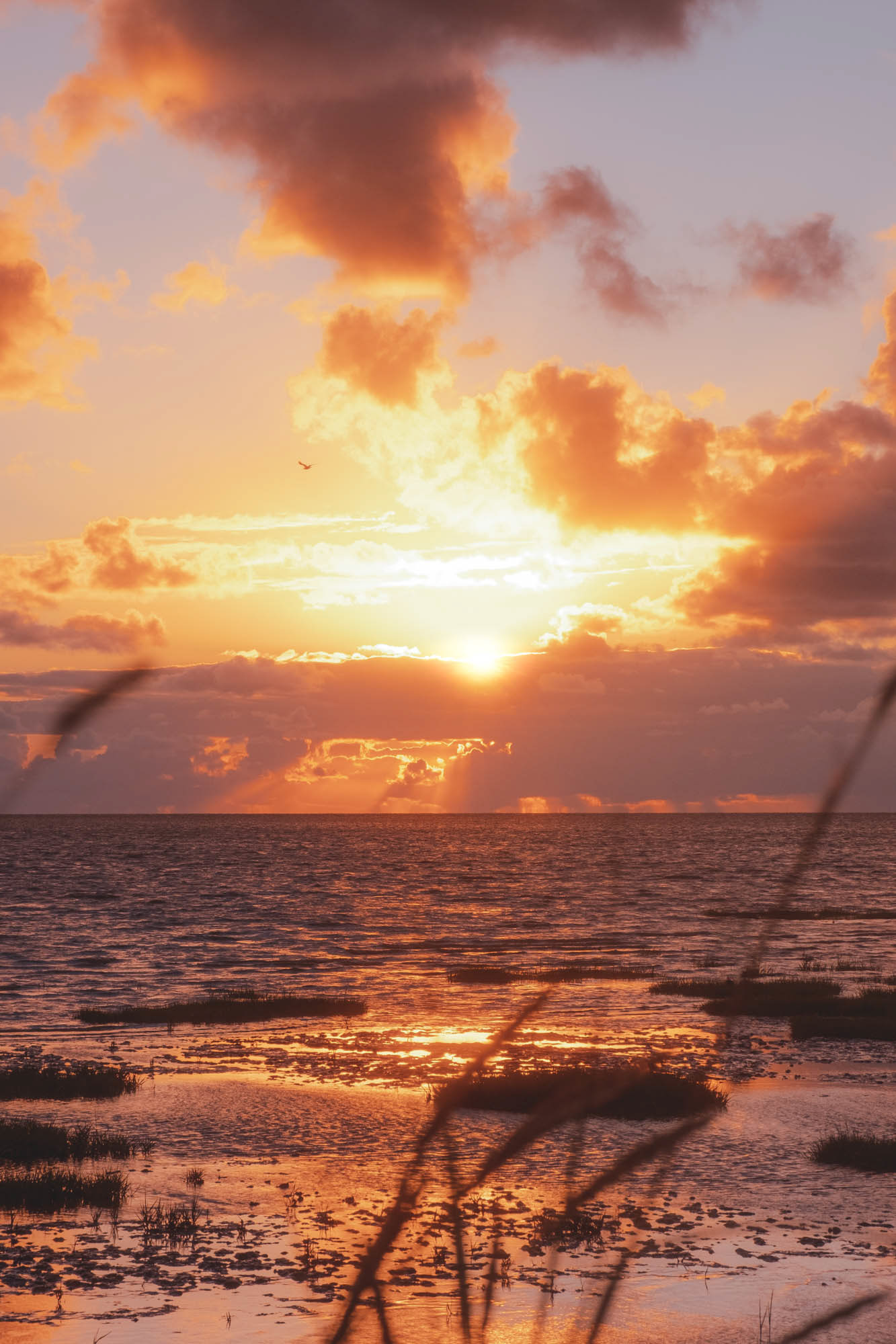 Sonnenuntergang über der Nordsee
