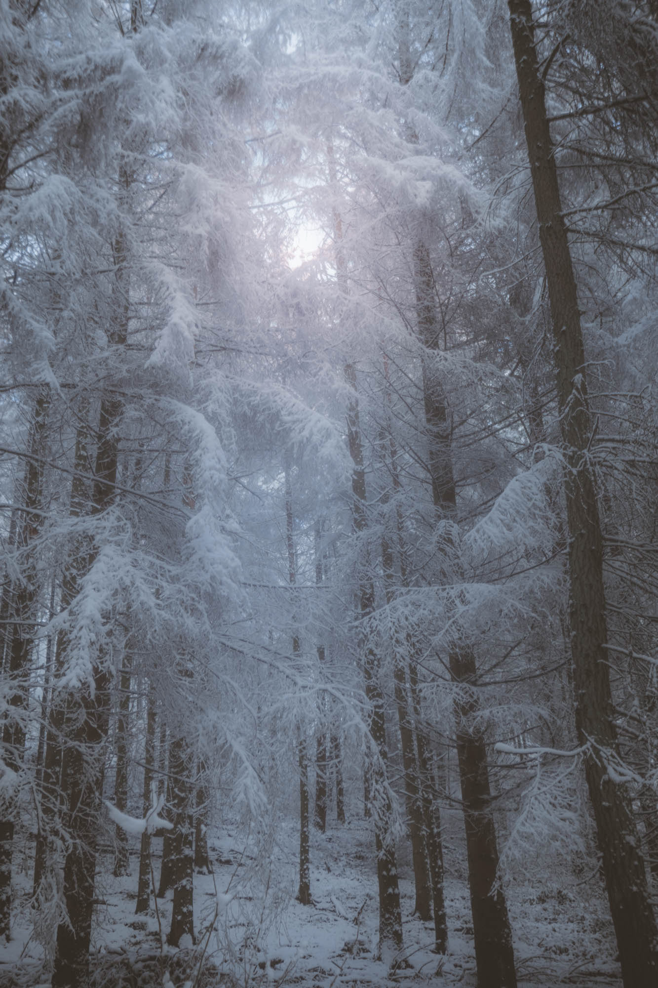 Winter im Teuto