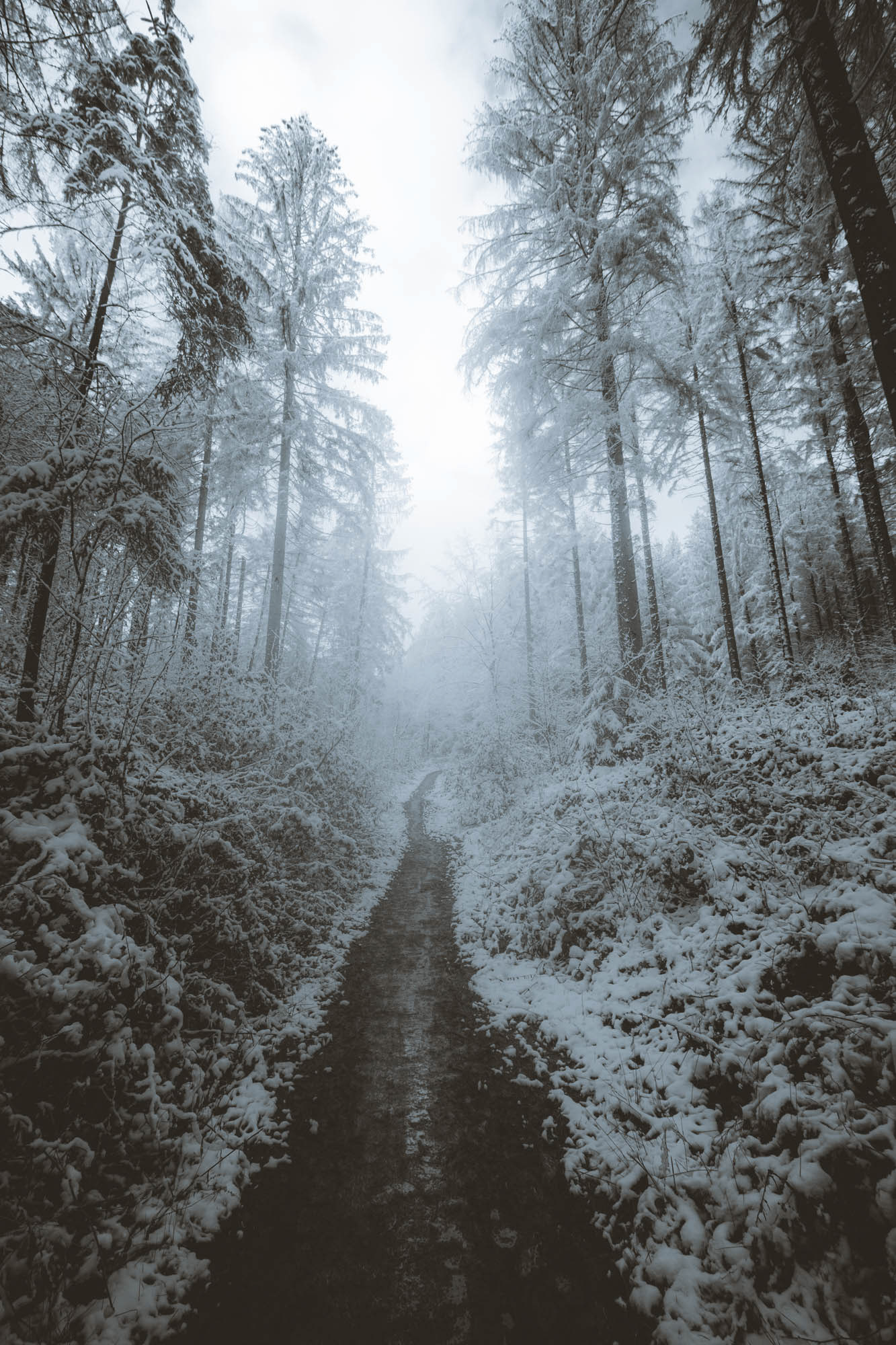 Winter im Teuto