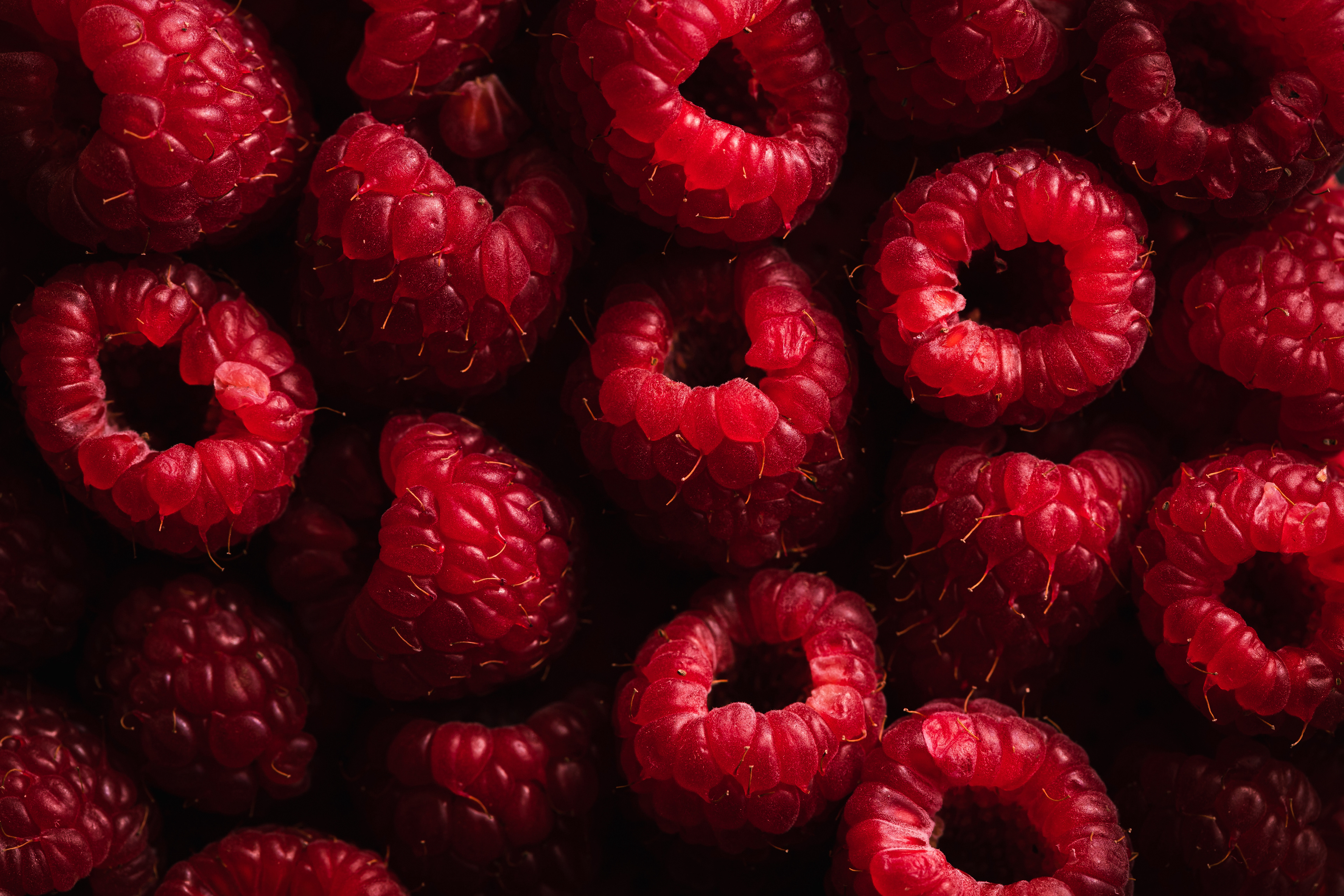 Raspberries - food photography - fresh produce - Lucia Marecak - Healthy Goodies by Lucia