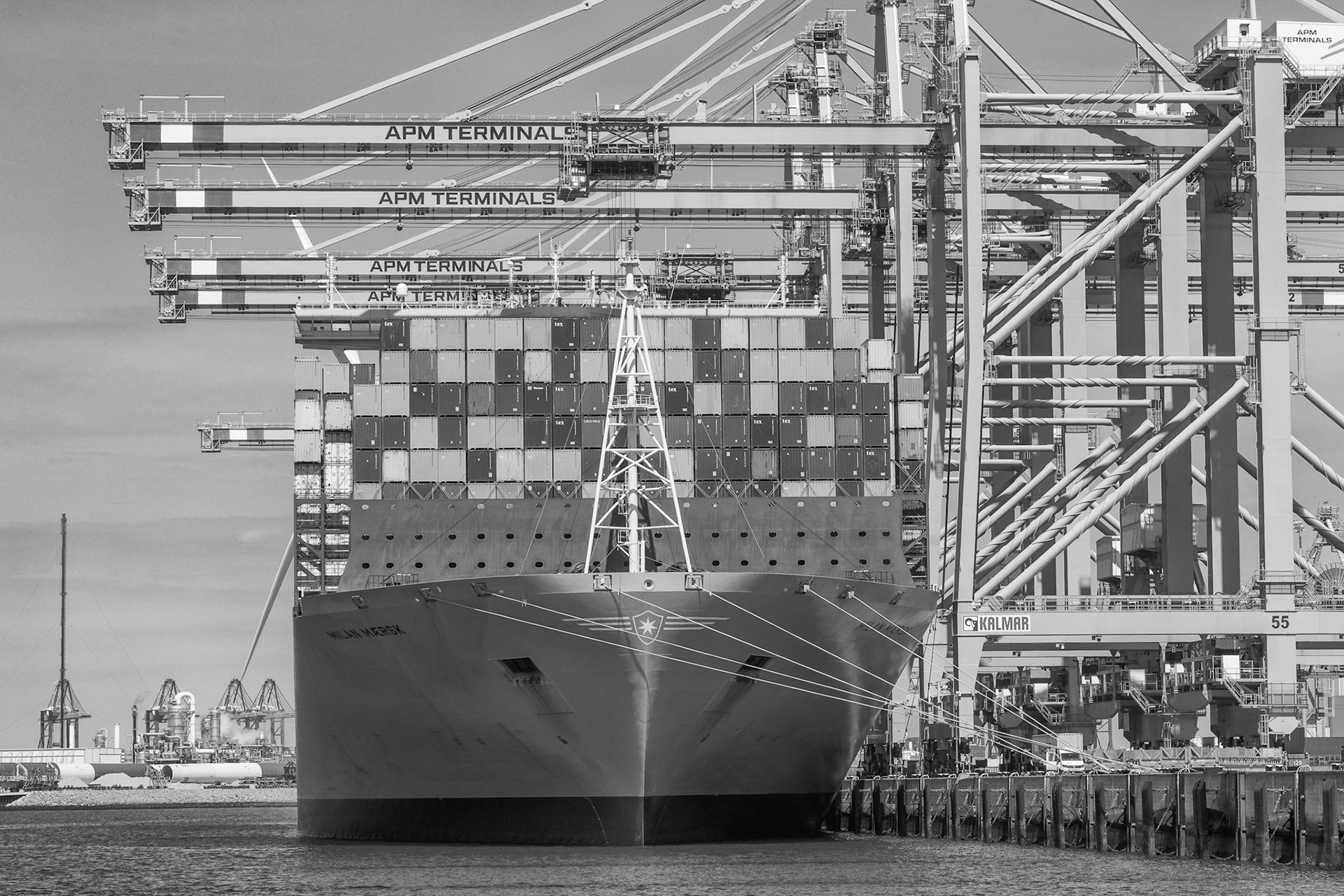 Containerkranen van de APM Terminal op de Maasvlakte