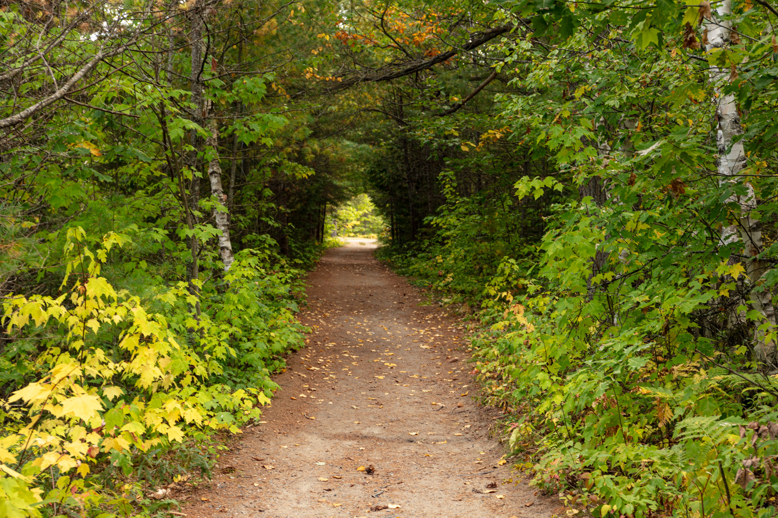 Chutes Provincial Park