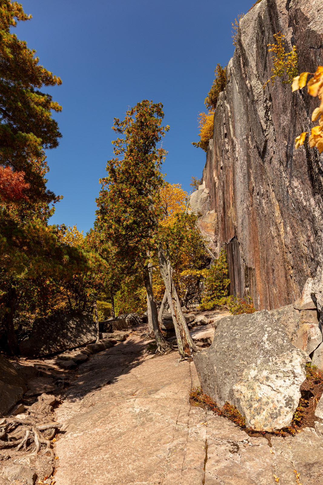 Agawa Rock Pictographs