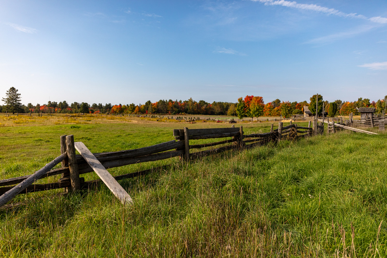Mockingbird Hill Farm