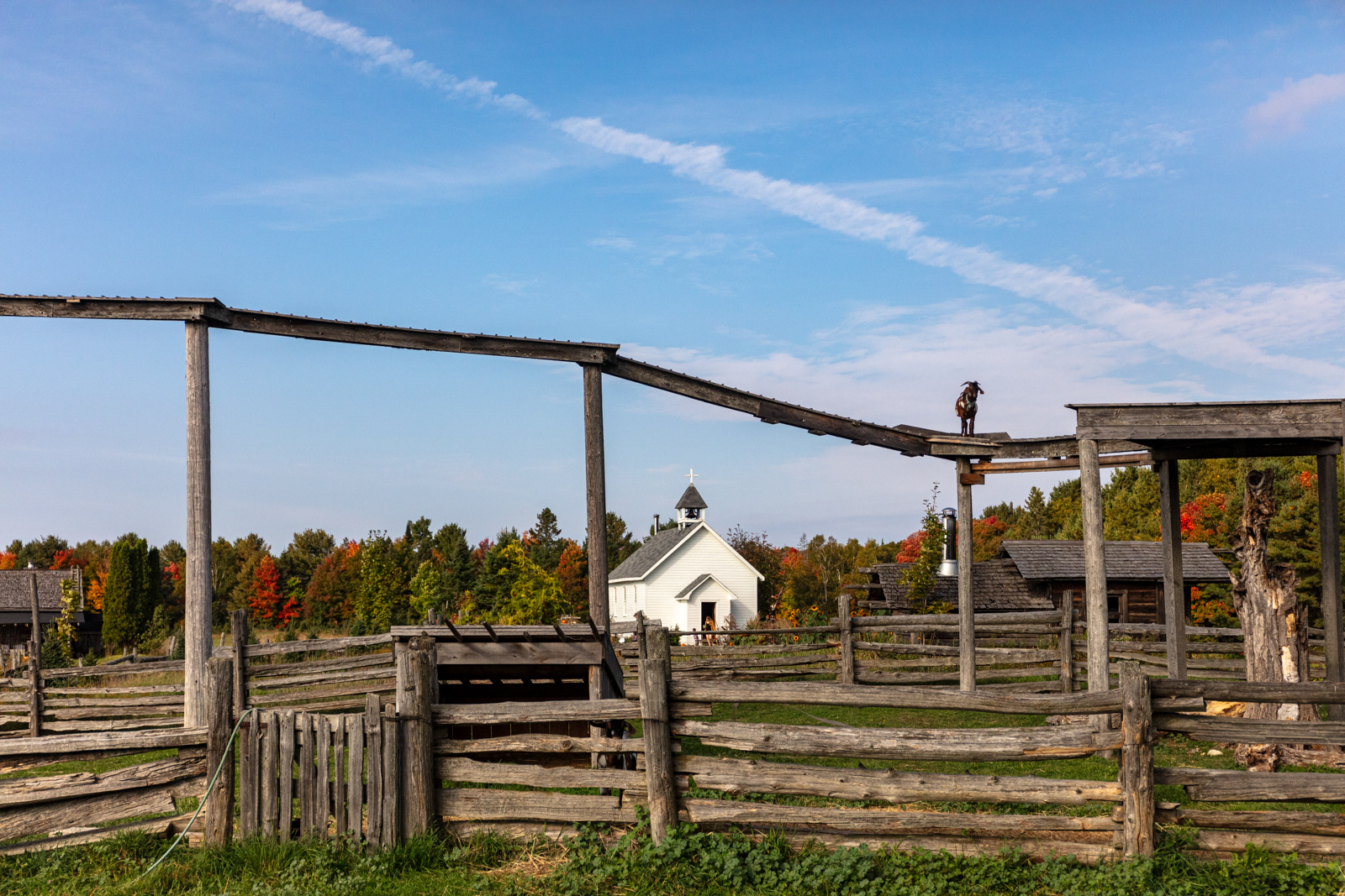 Mockingbird Hill Farm