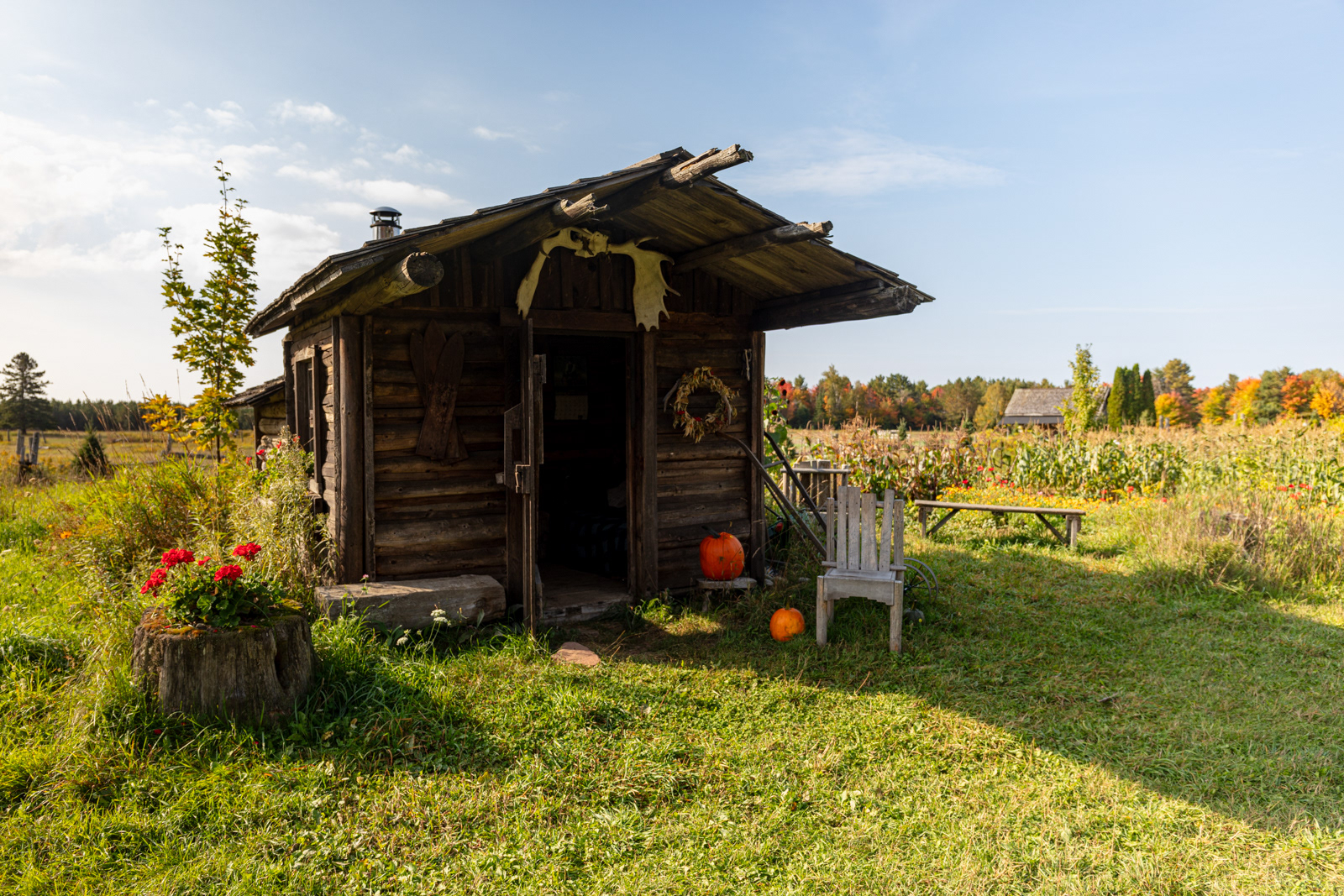 Mockingbird Hill Farm