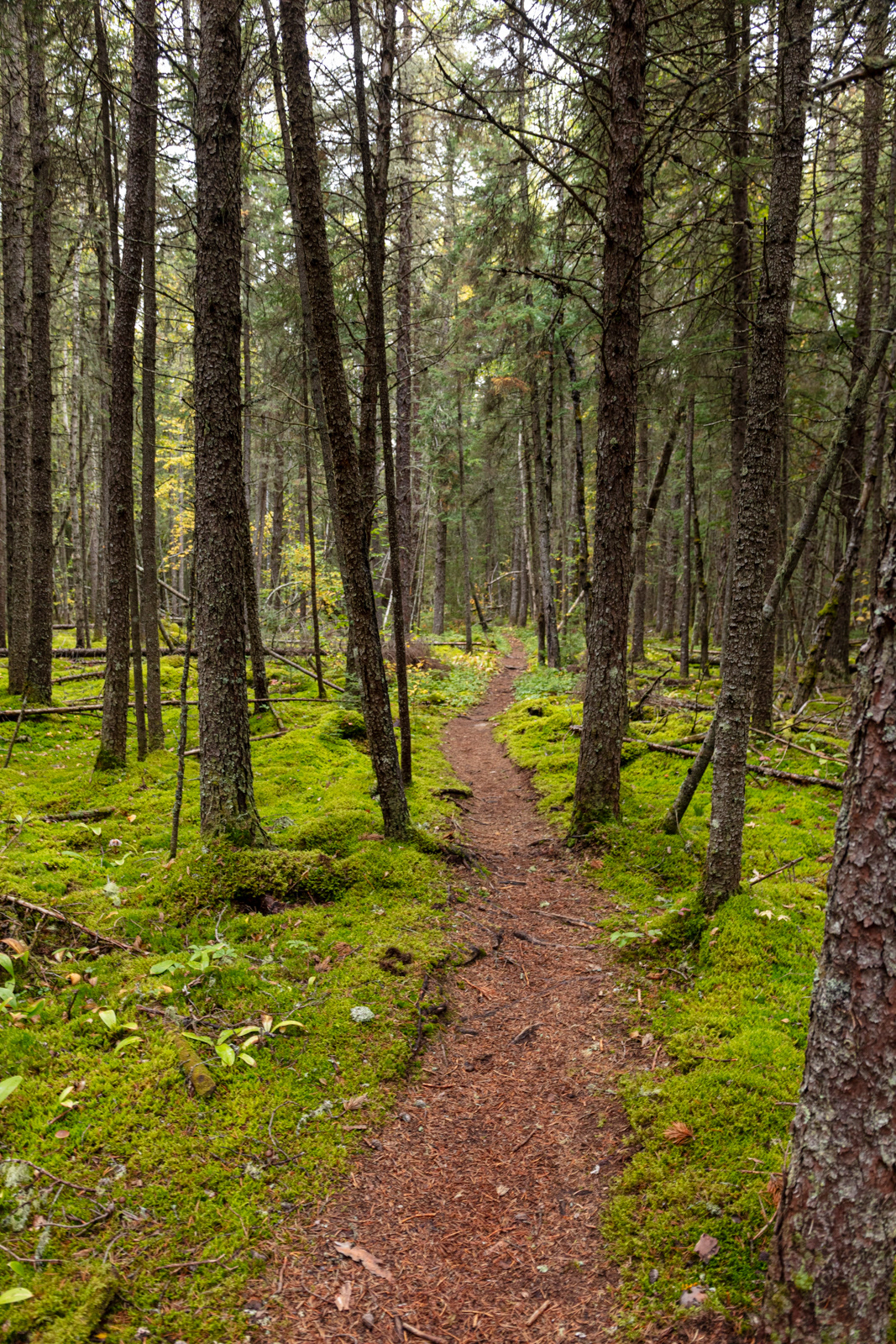 Pukaskwa National Park  •  Hook Falls via Hattie Cove