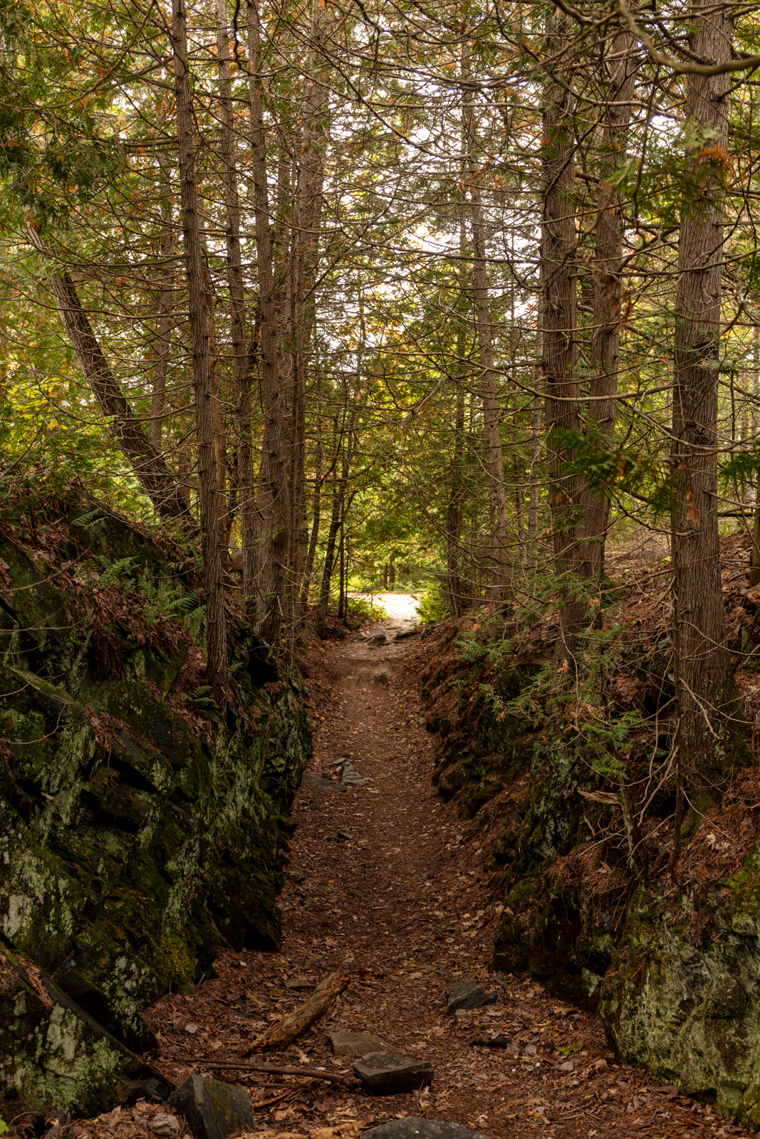 Chutes Provincial Park