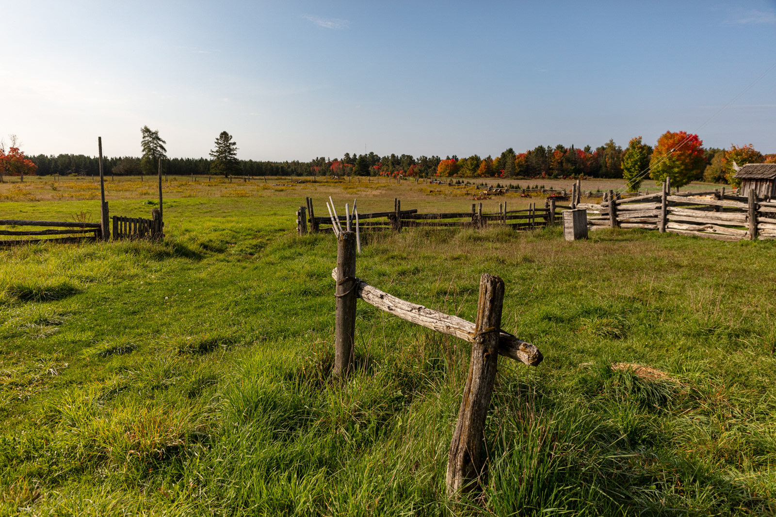 Mockingbird Hill Farm