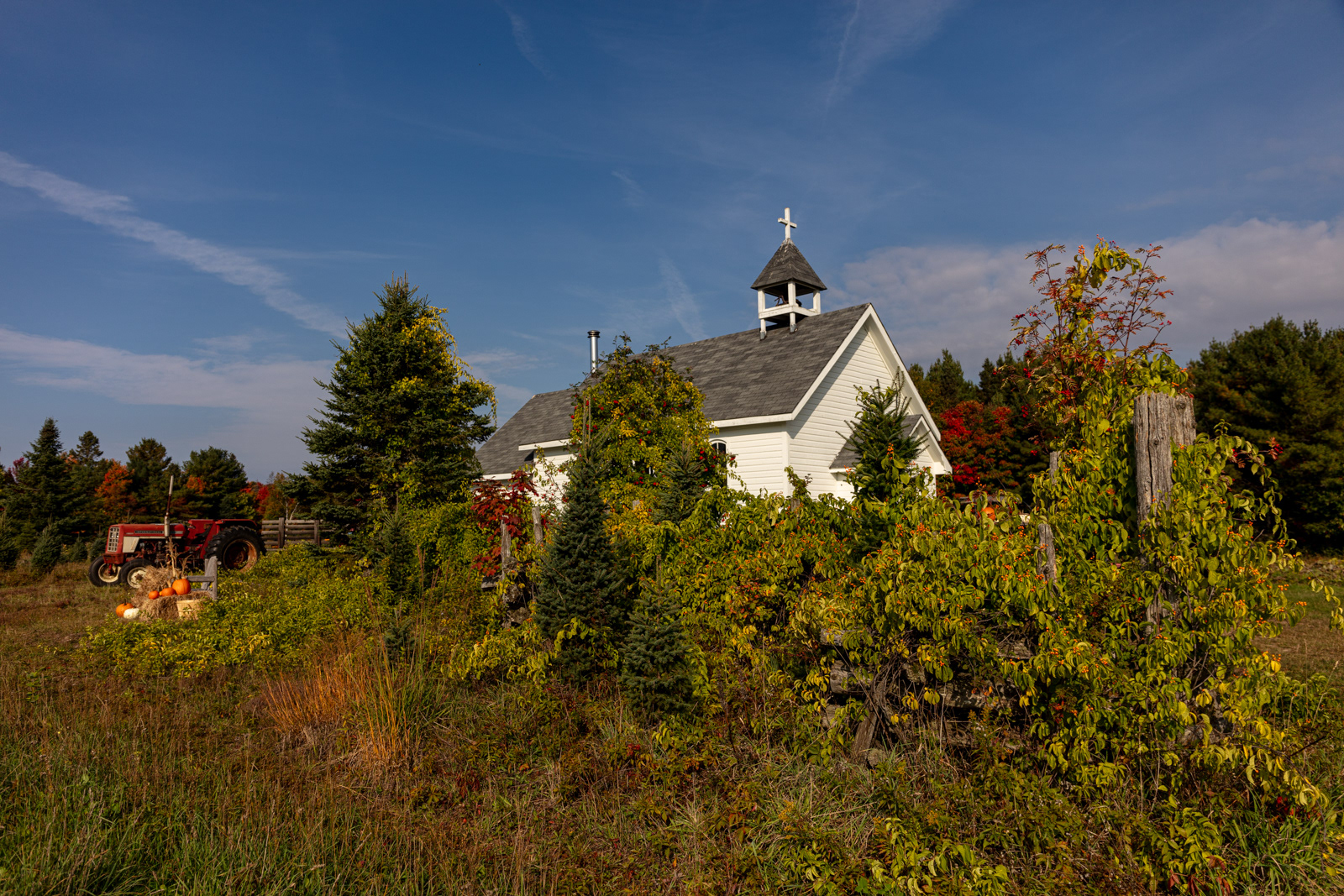 Mockingbird Hill Farm