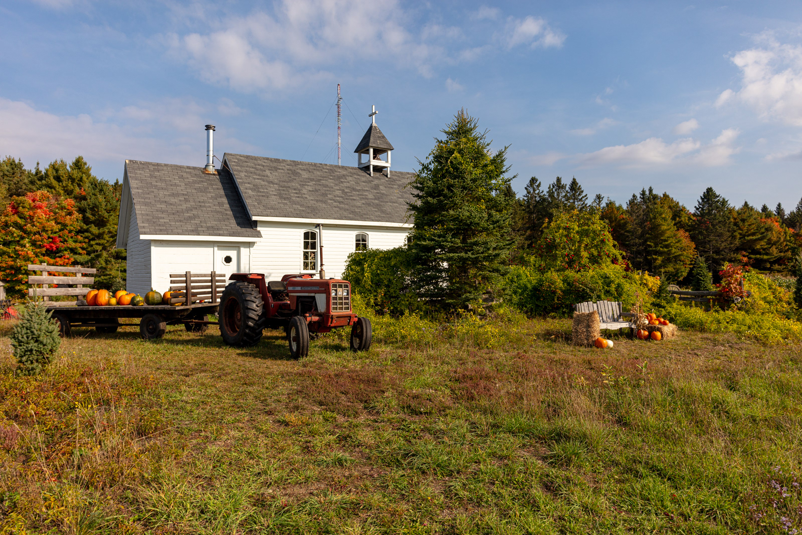Mockingbird Hill Farm