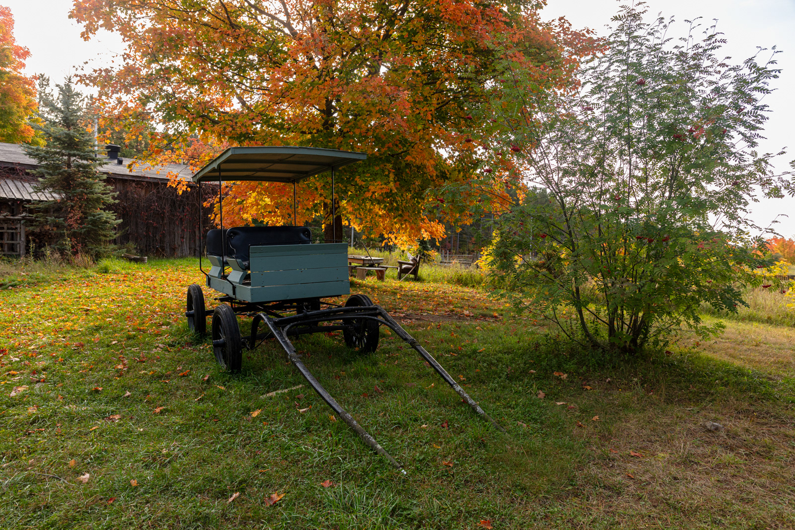 Mockingbird Hill Farm