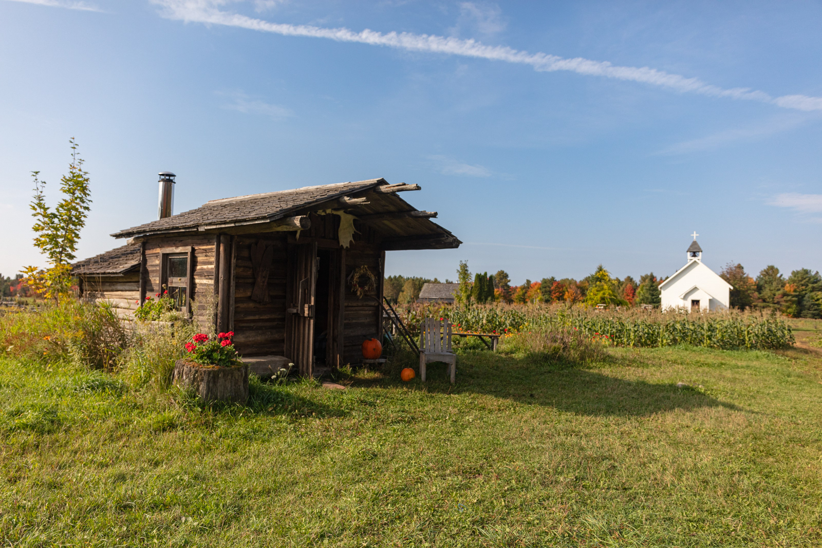 Mockingbird Hill Farm
