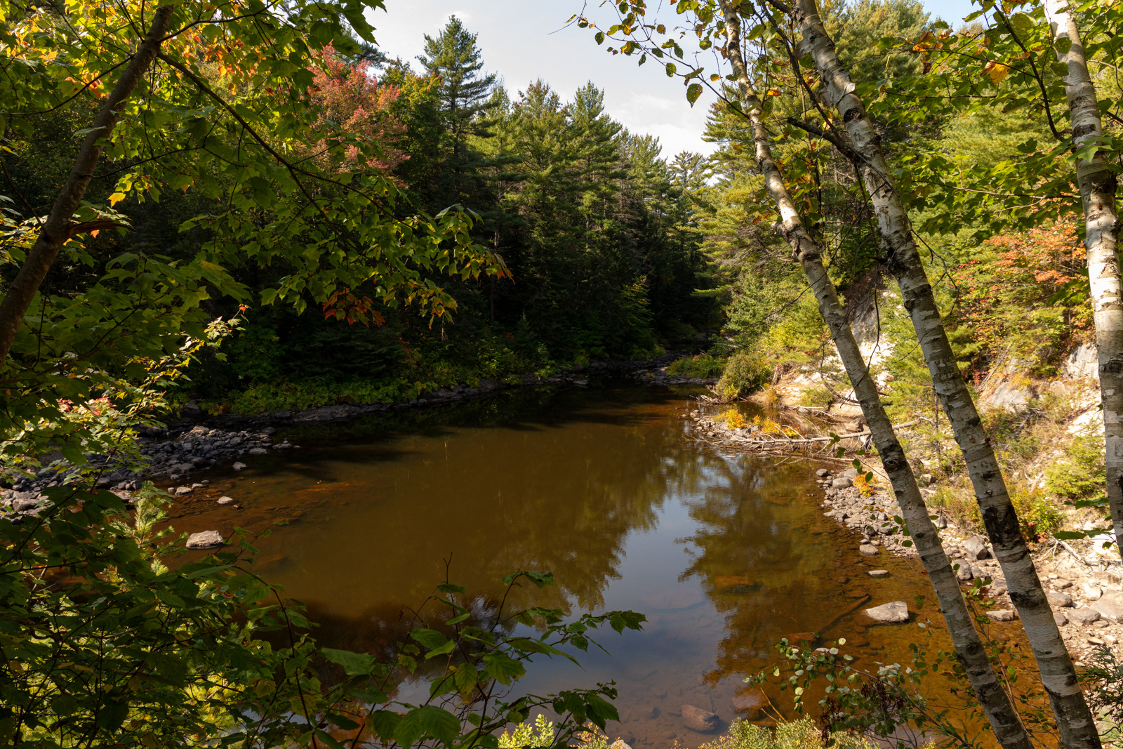 Harris Lake Picnic Area