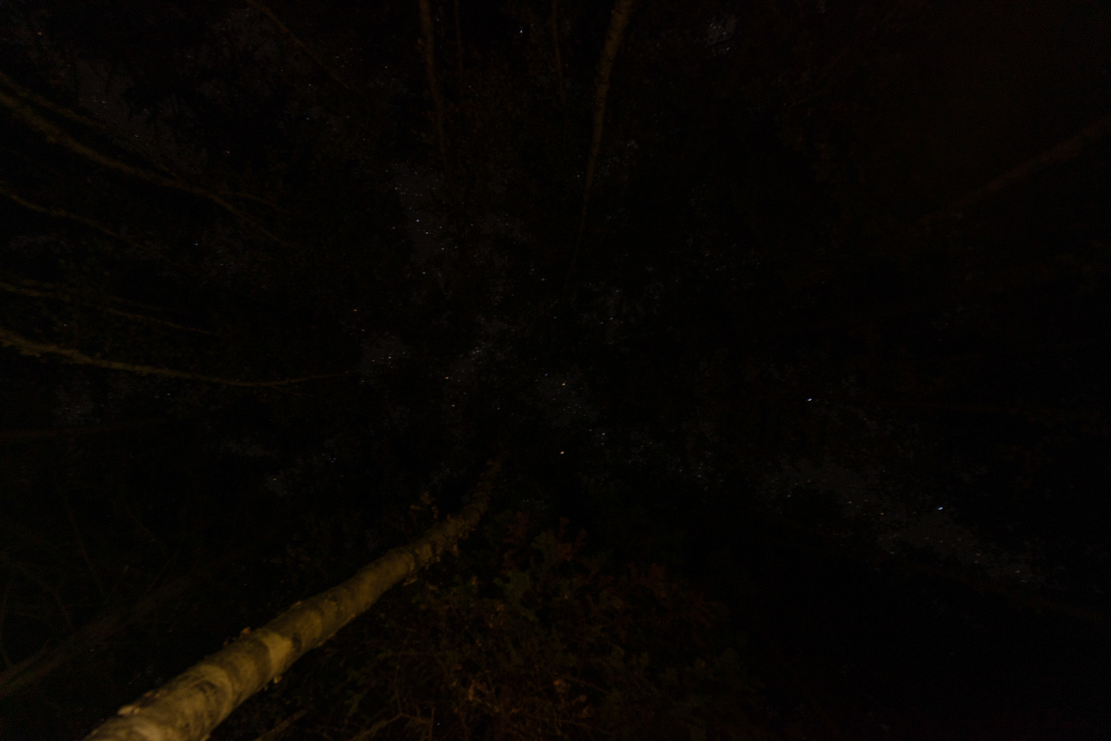 Pukaskwa National Park  •  Hook Falls via Hattie Cove