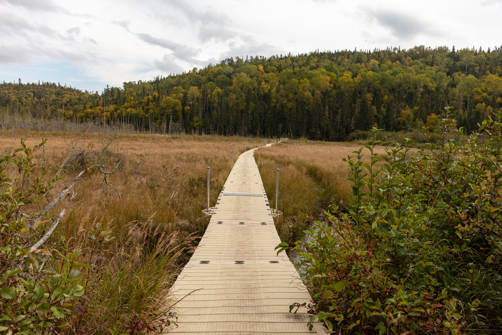 Pukaskwa National Park  •  Hook Falls via Hattie Cove