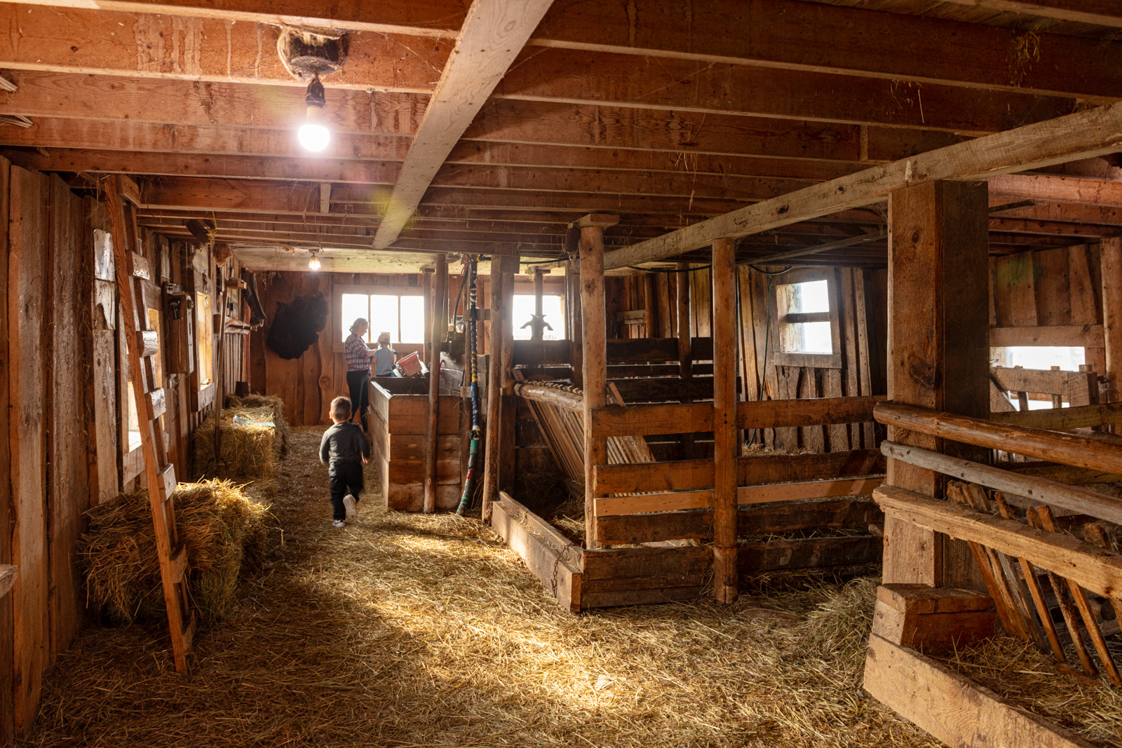 Mockingbird Hill Farm