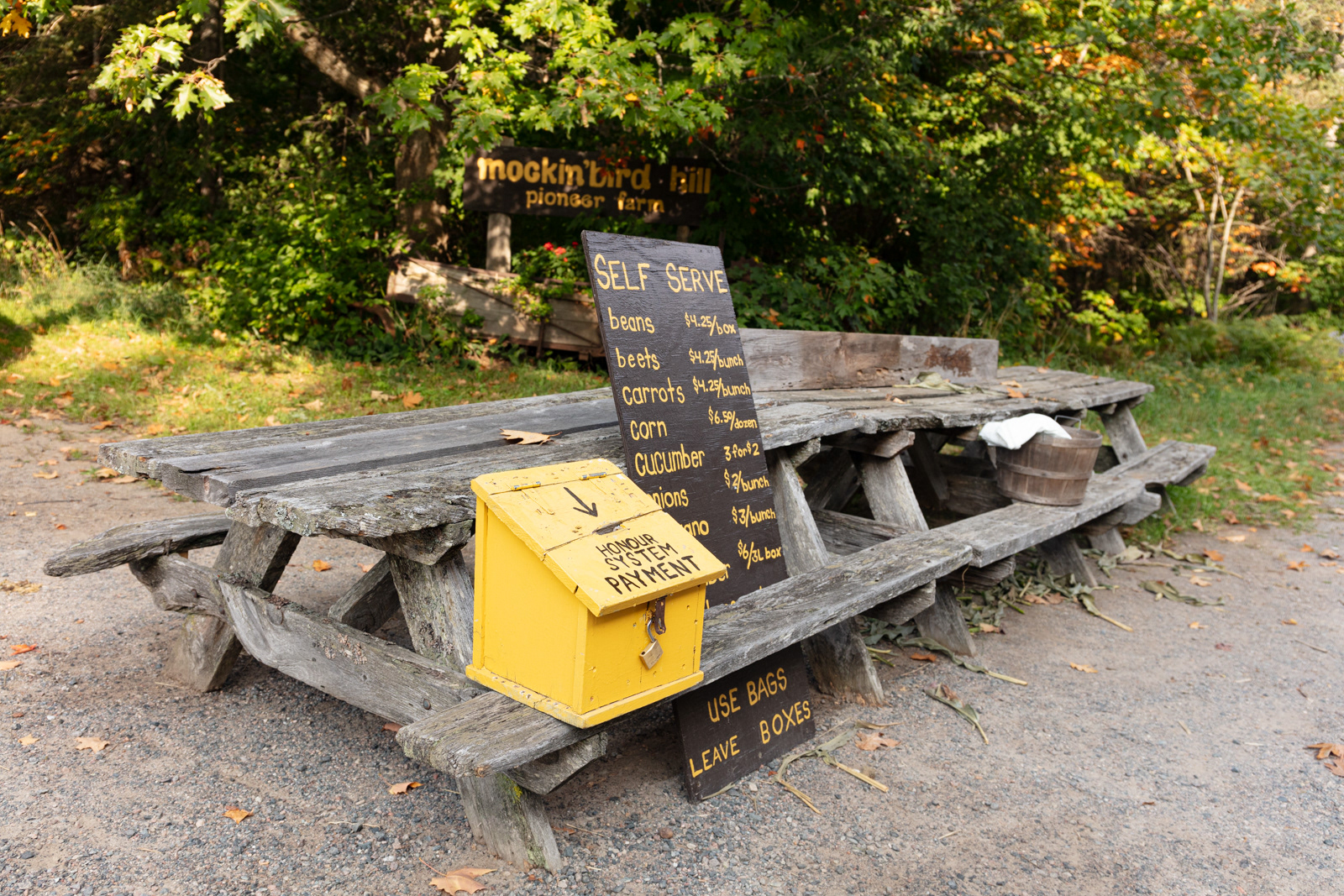 Mockingbird Hill Farm