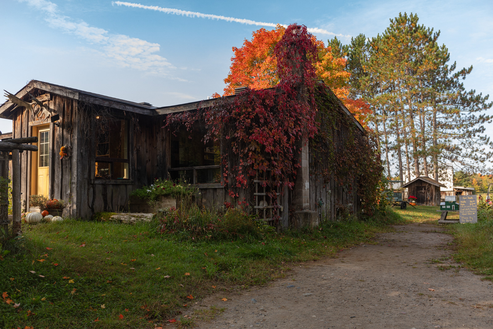 Mockingbird Hill Farm