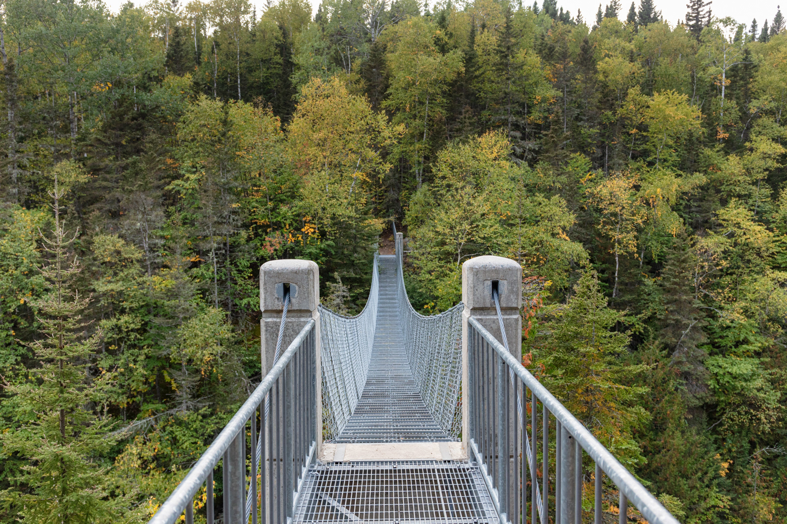 Pukaskwa National Park  •  Hook Falls via Hattie Cove