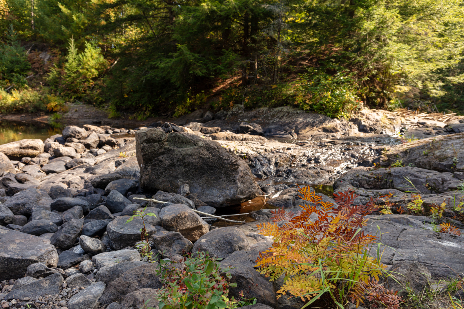 Harris Lake Picnic Area