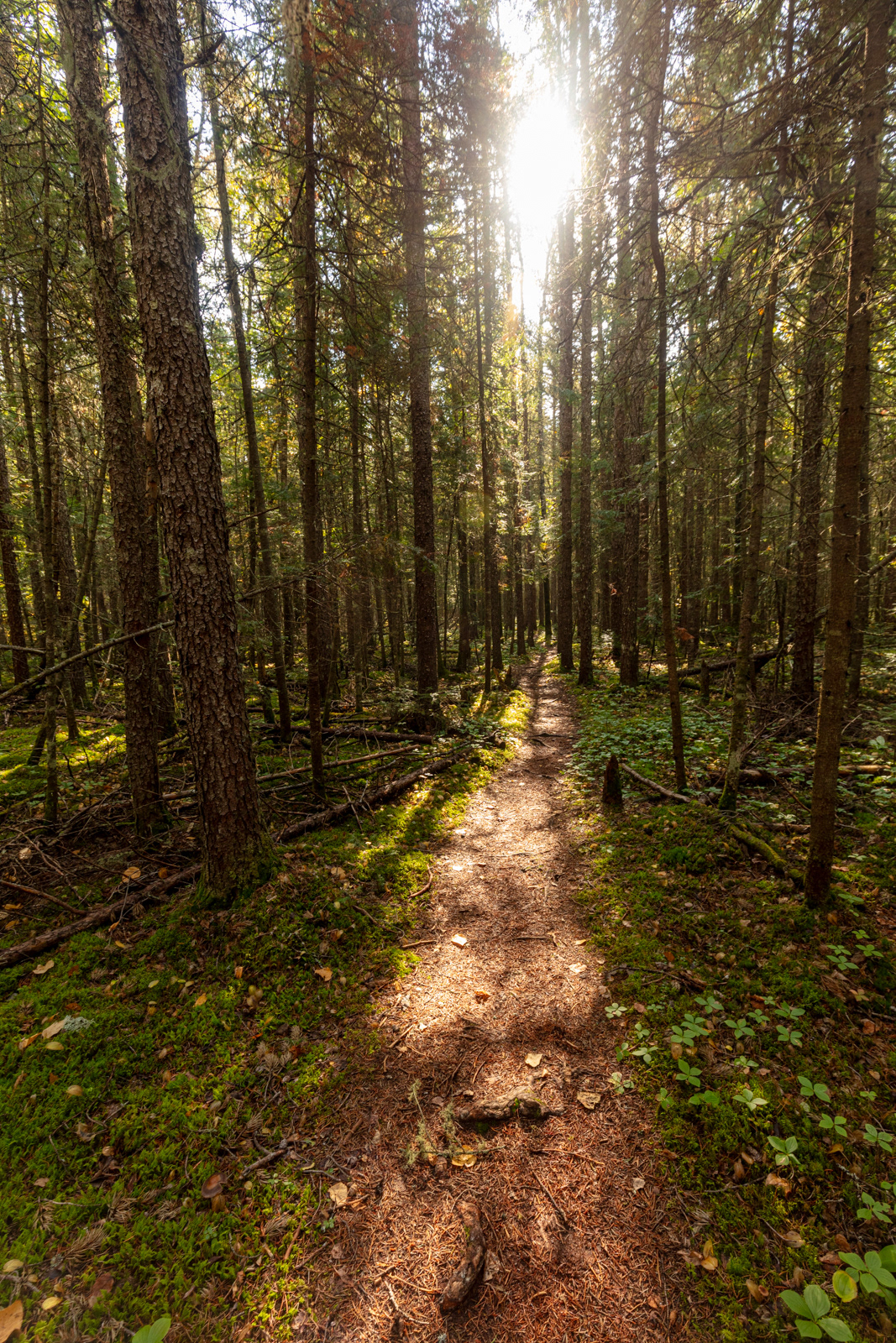 Pukaskwa National Park  •  Hook Falls via Hattie Cove