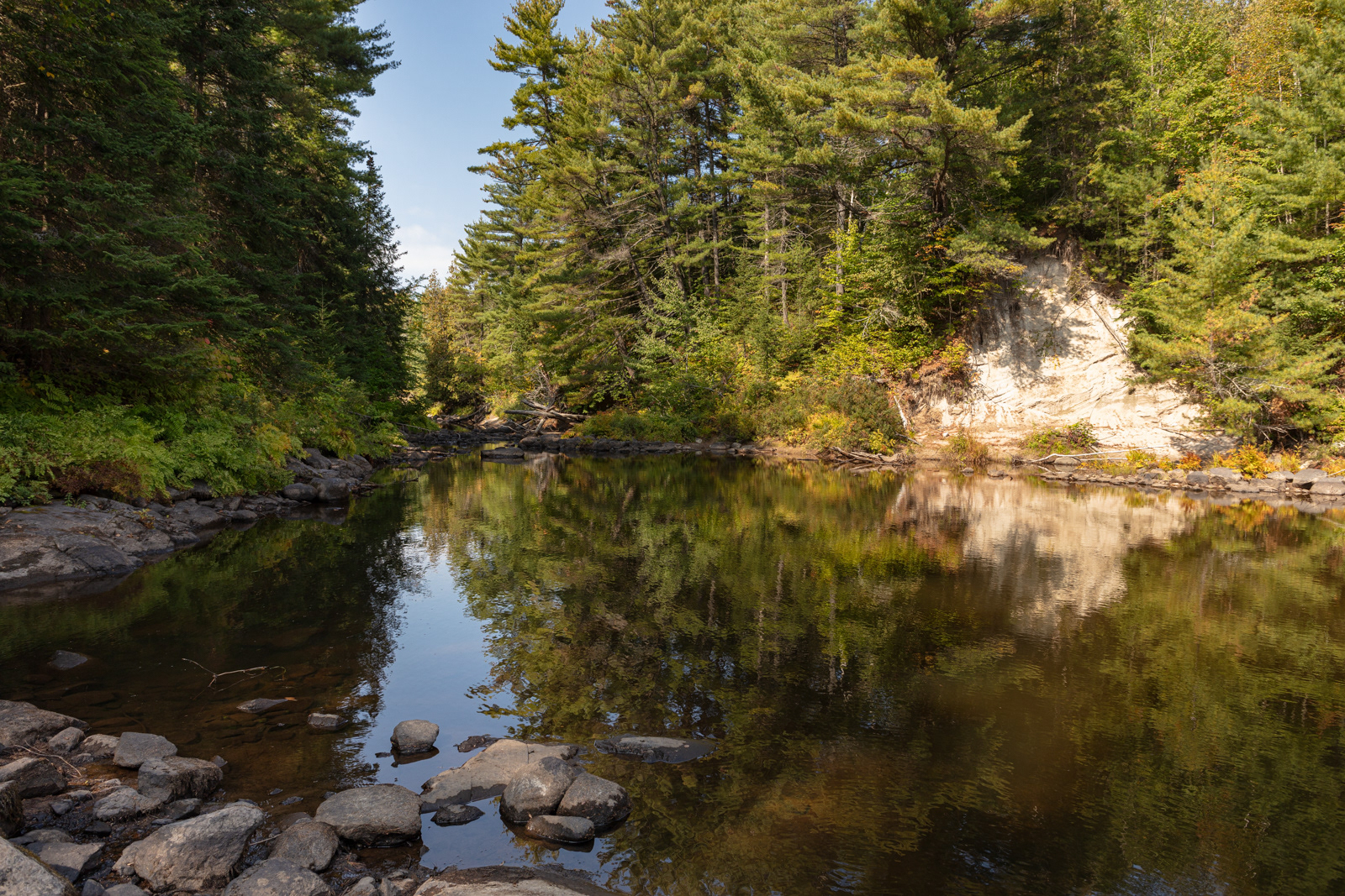 Harris Lake Picnic Area