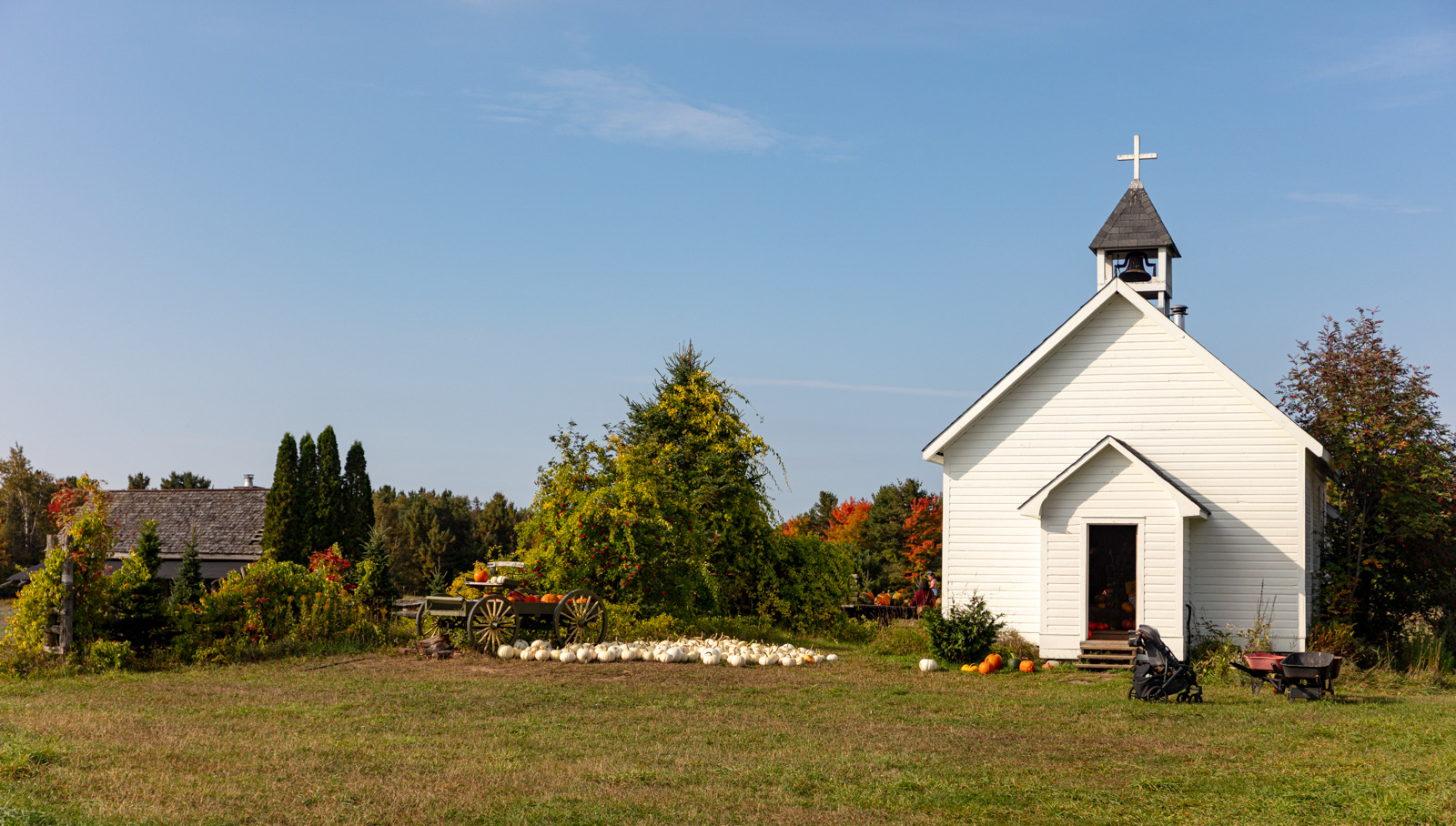 Mockingbird Hill Farm