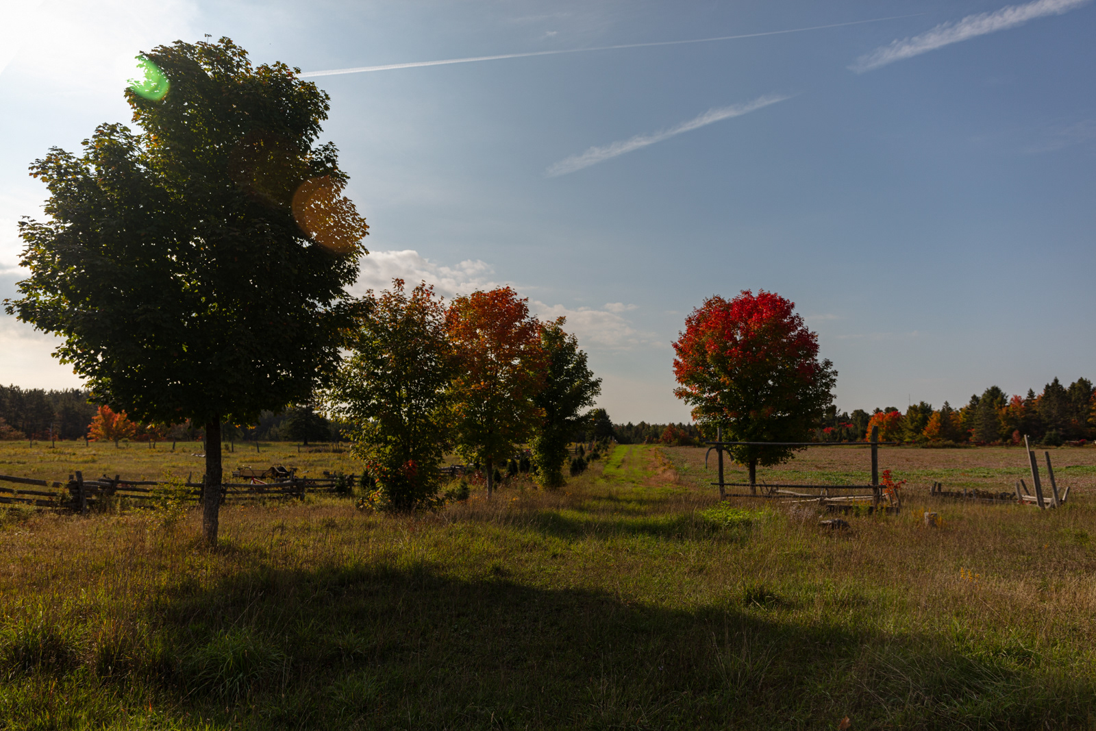 Mockingbird Hill Farm