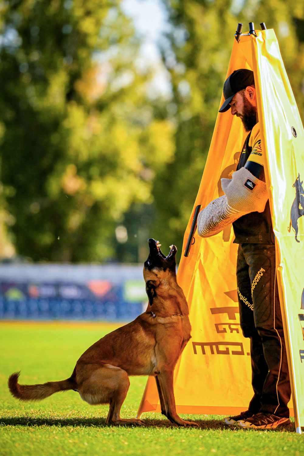 IGP DOG SPORT WORLD CHAMPIONSHIP / László Zsigmond / PHOTOZSIGMOND.ART