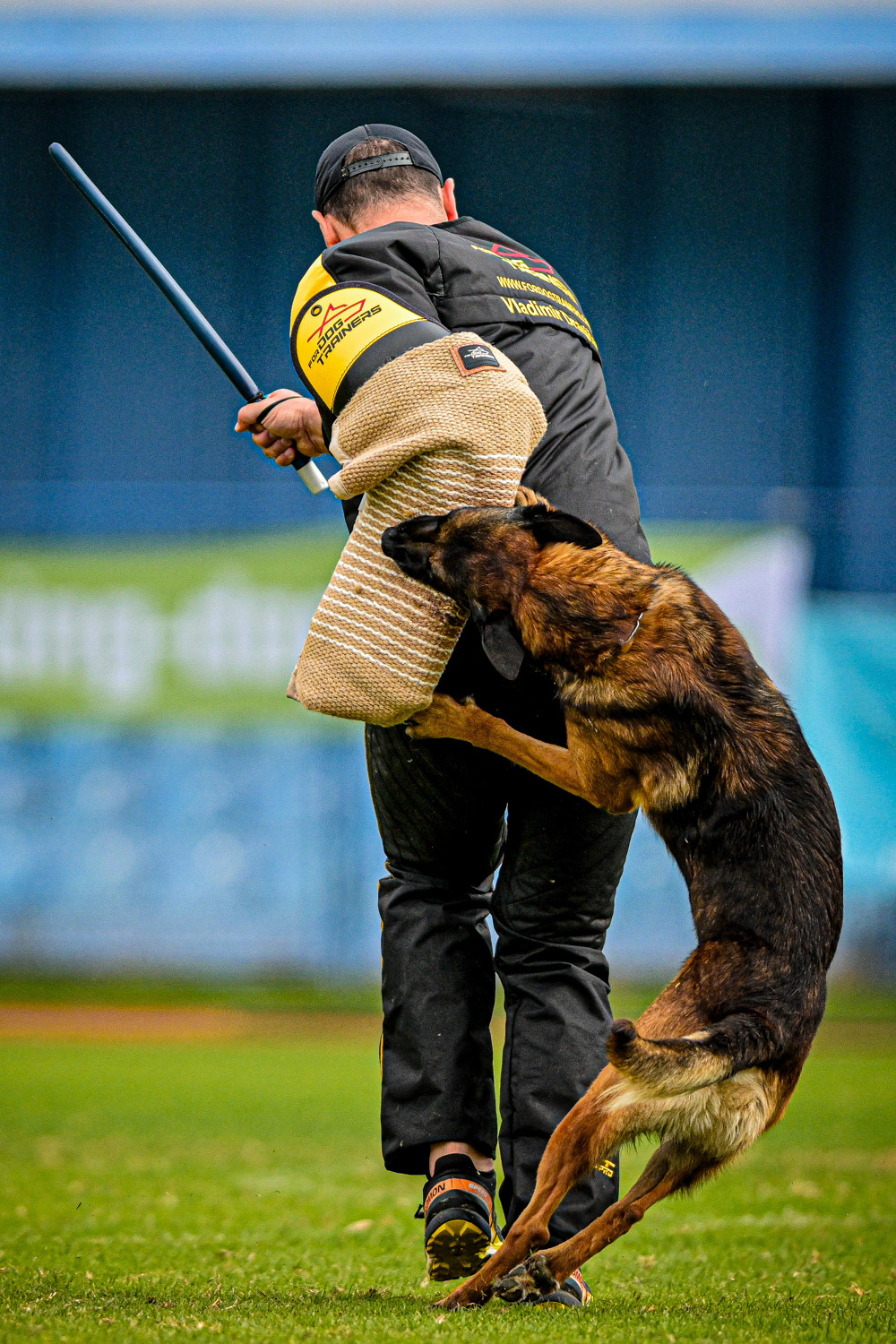 IGP DOG SPORT WORLD CHAMPIONSHIP / László Zsigmond / PHOTOZSIGMOND.ART
