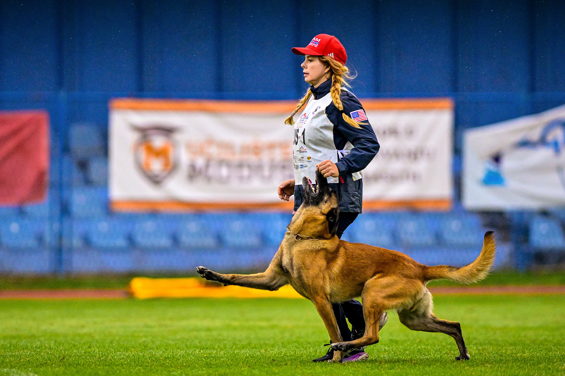 IGP DOG SPORT WORLD CHAMPIONSHIP / PHOTO ZSIGMOND