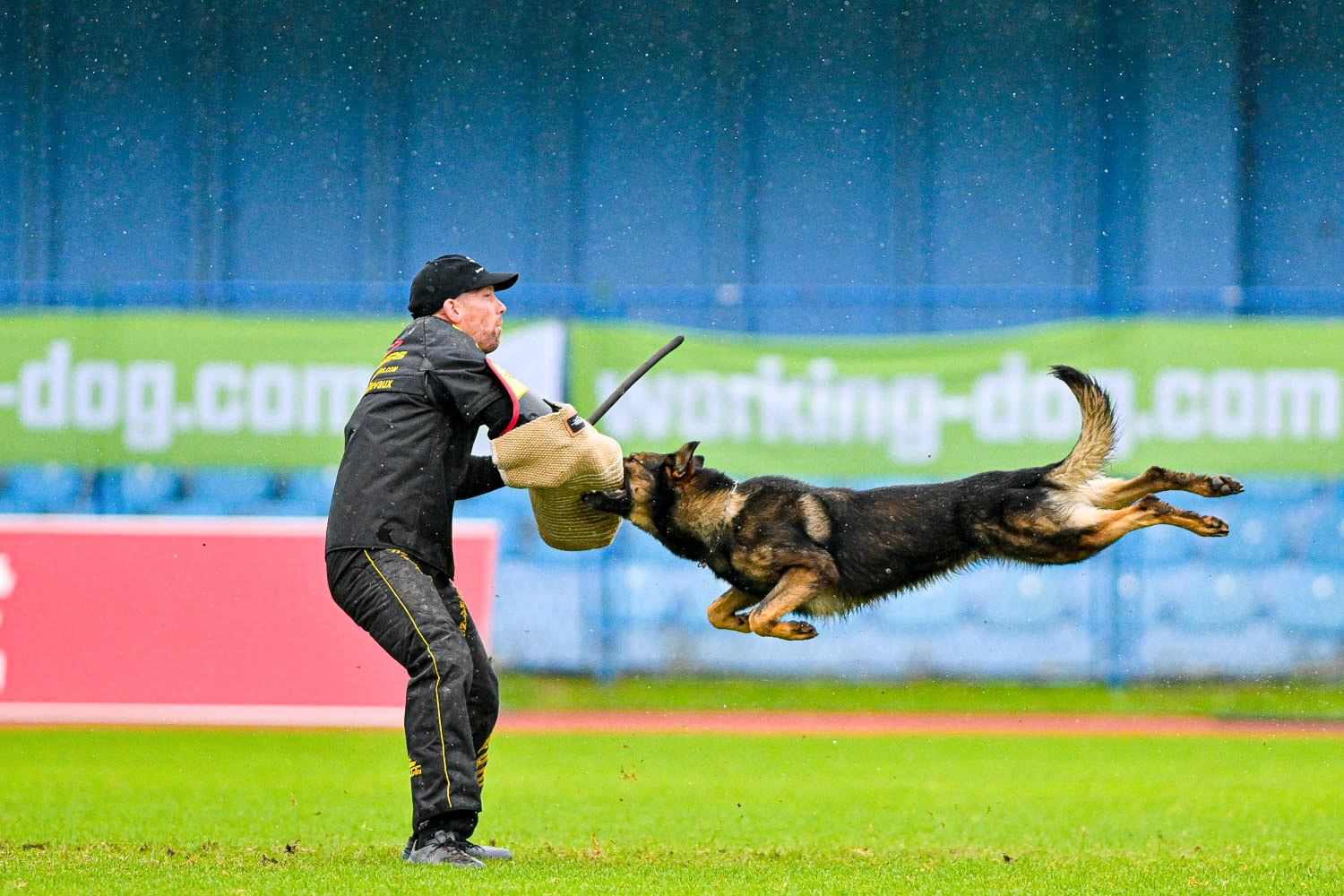 IGP DOG SPORT WORLD CHAMPIONSHIP / László Zsigmond / PHOTOZSIGMOND.ART