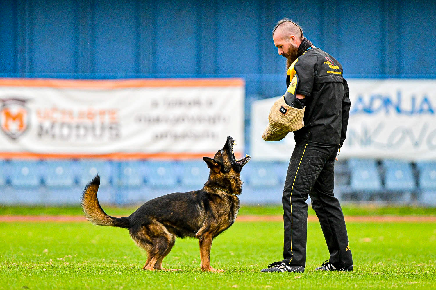 IGP DOG SPORT WORLD CHAMPIONSHIP / László Zsigmond / PHOTOZSIGMOND.ART