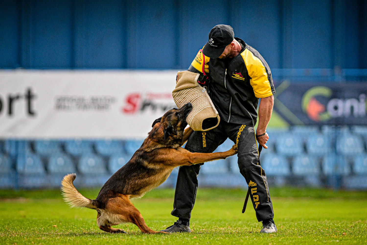 IGP DOG SPORT WORLD CHAMPIONSHIP / László Zsigmond / PHOTOZSIGMOND.ART