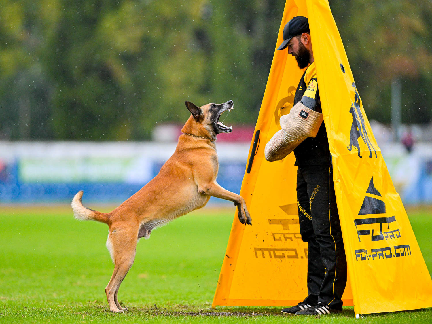 IGP DOG SPORT WORLD CHAMPIONSHIP / László Zsigmond / PHOTOZSIGMOND.ART