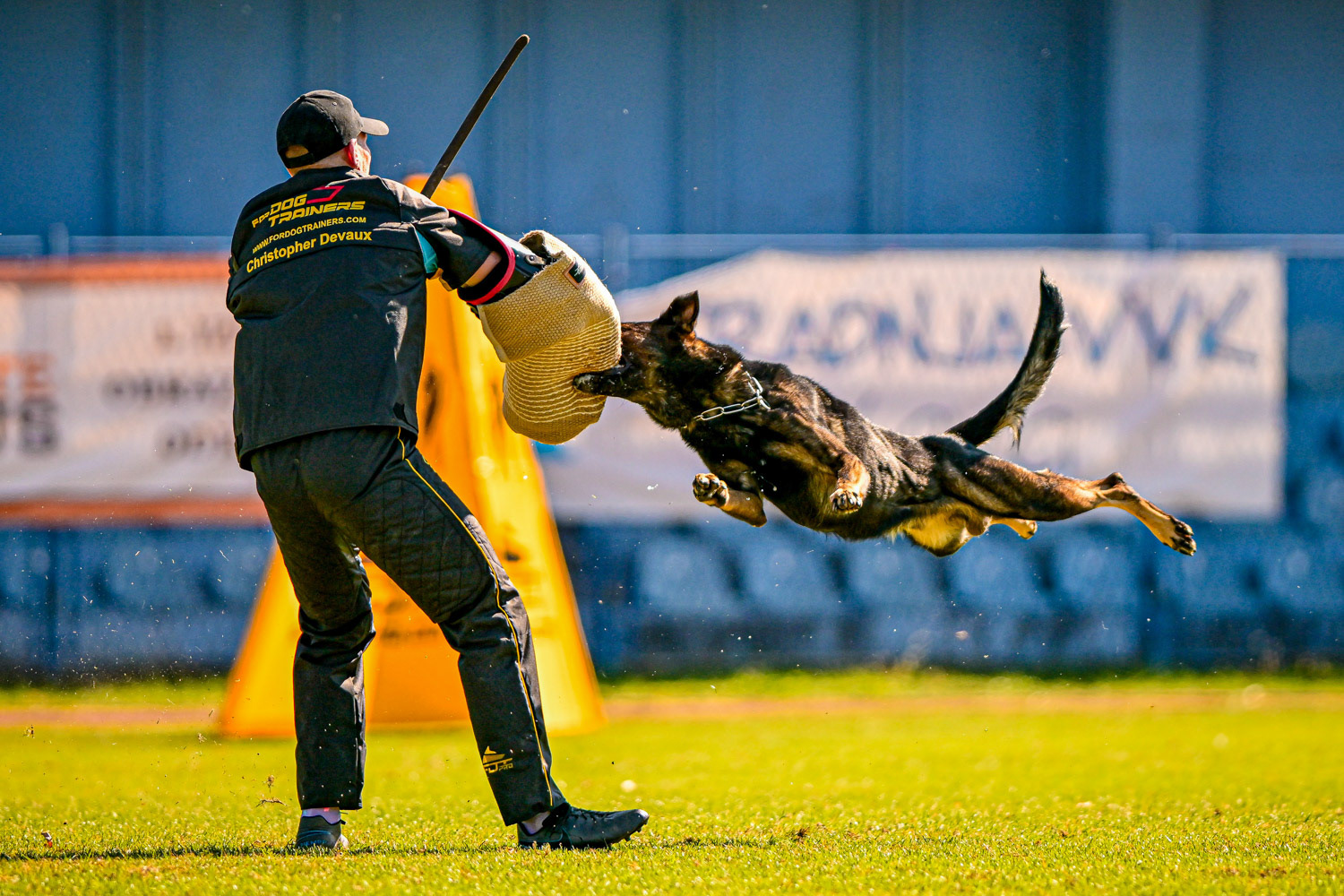 IGP DOG SPORT WORLD CHAMPIONSHIP / László Zsigmond / PHOTOZSIGMOND.ART