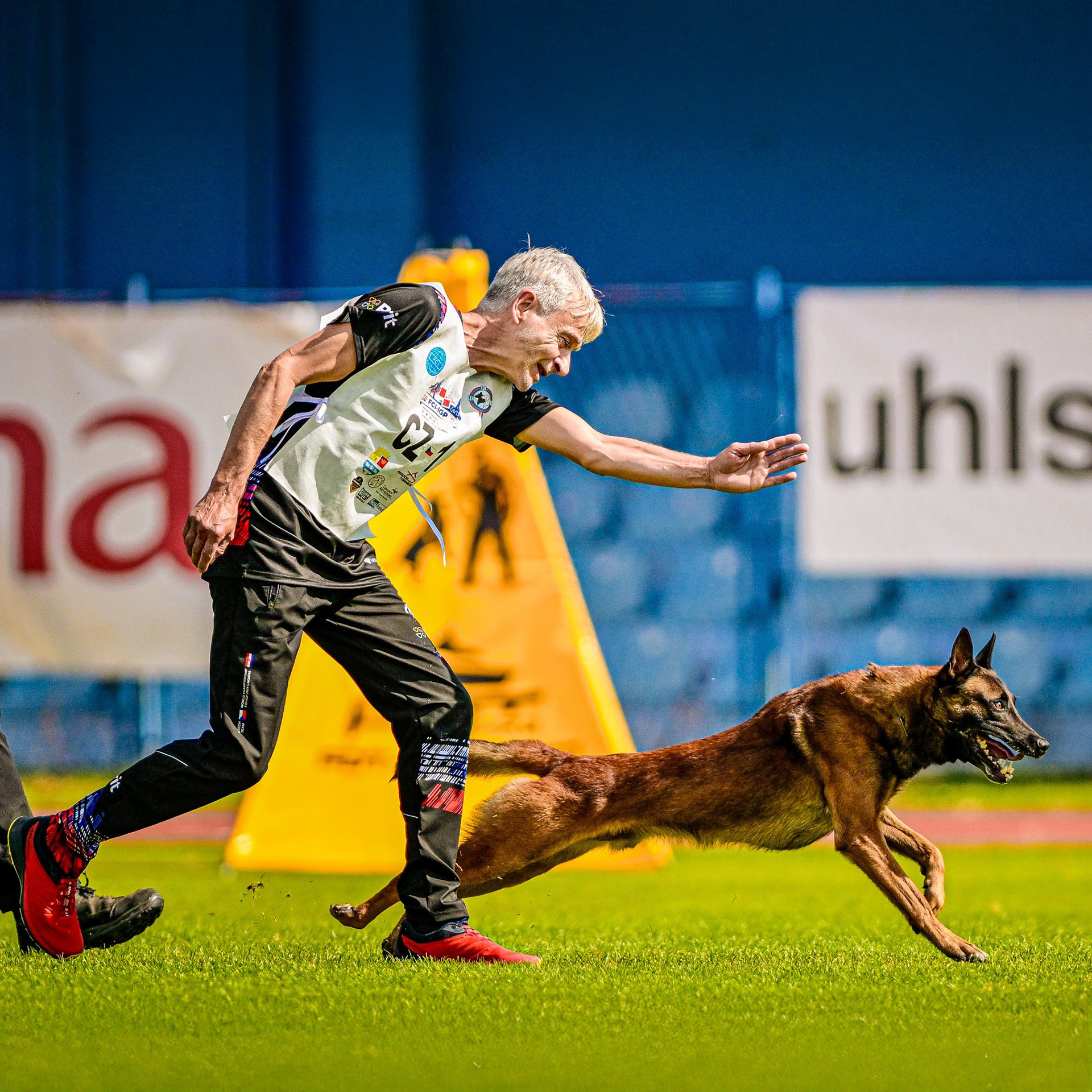 IGP DOG SPORT WORLD CHAMPIONSHIP / PHOTO ZSIGMOND