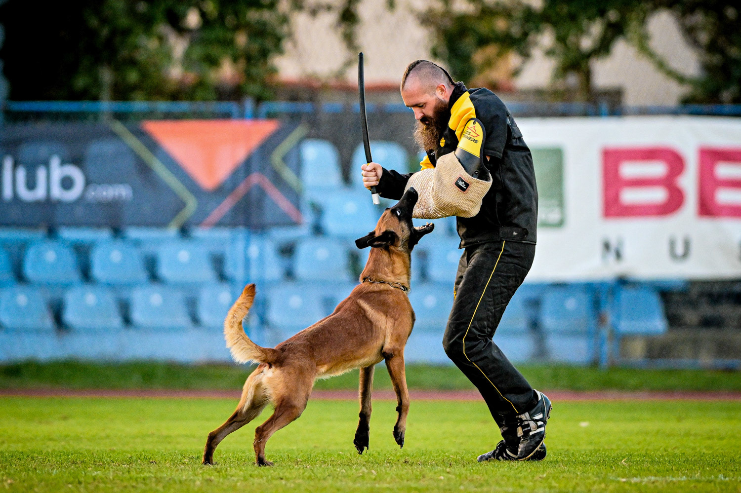 IGP DOG SPORT WORLD CHAMPIONSHIP / László Zsigmond / PHOTOZSIGMOND.ART