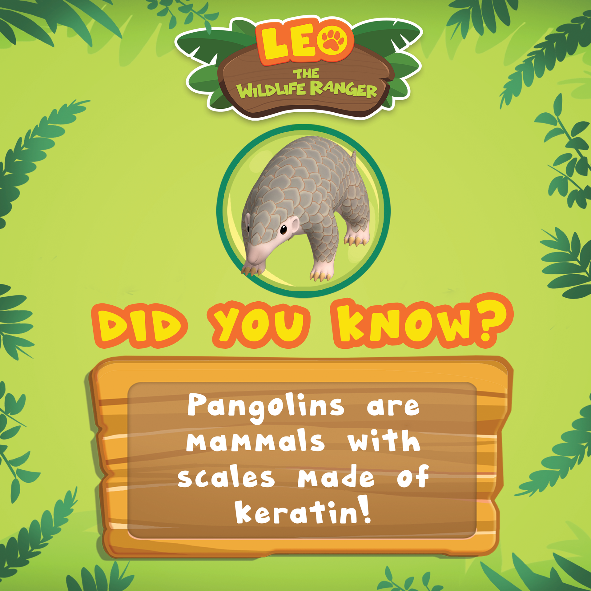 Leo the Widlife Ranger - Social media post 3