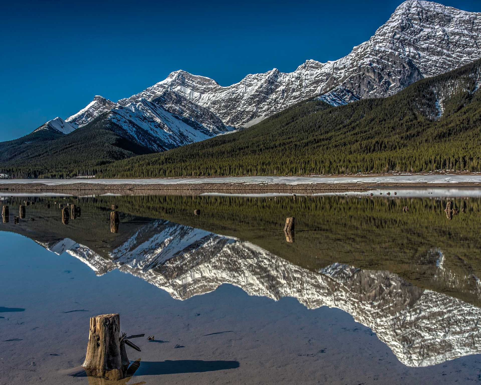 Spray Lake Reflections