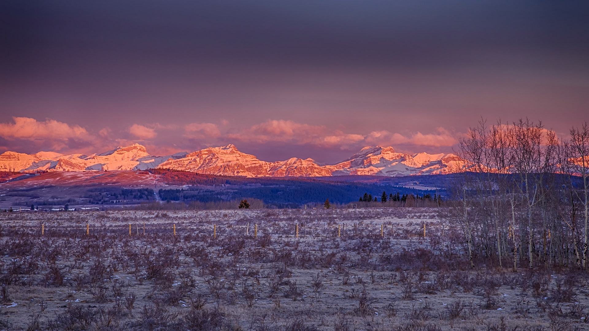 No filters...these are the rosey fingers of Eos (dawn) at the start of golden hour