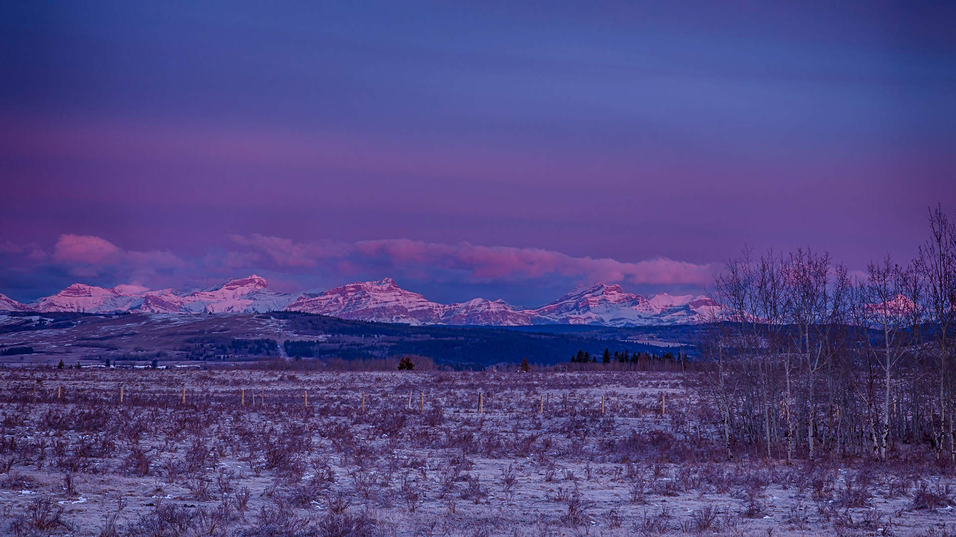 No filters...these are the rosey fingers of Eos (dawn) at the during blue hour